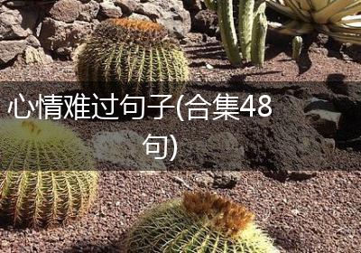心情难过句子(合集48句)
