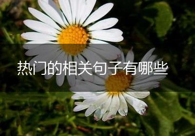 热门的相关句子有哪些