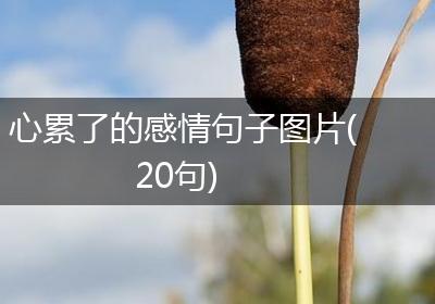 心累了的感情句子图片(20句)