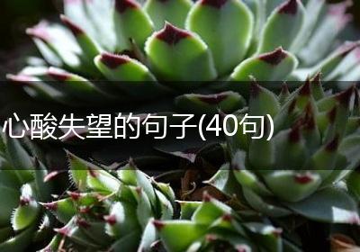 心酸失望的句子(40句)