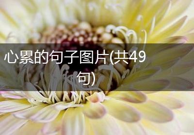 心累的句子图片(共49句)