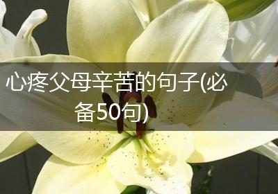 心疼父母辛苦的句子(必备50句)