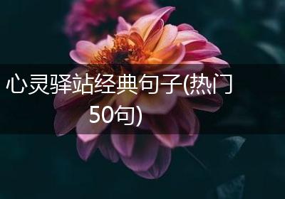 心灵驿站经典句子(热门50句)