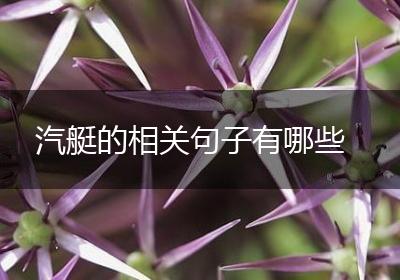 汽艇的相关句子有哪些