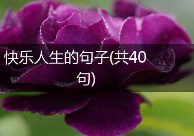 快乐人生的句子(共40句)