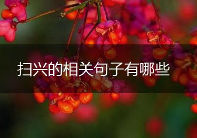 扫兴的相关句子有哪些