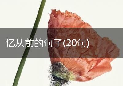忆从前的句子(20句)
