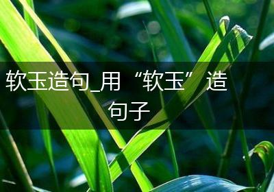 软玉造句_用“软玉”造句子