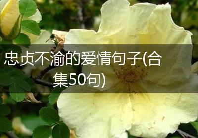 忠贞不渝的爱情句子(合集50句)