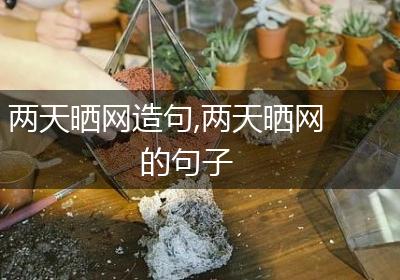 两天晒网造句,两天晒网的句子