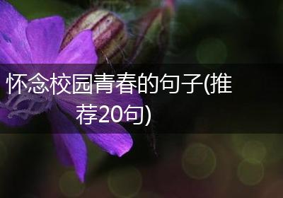 怀念校园青春的句子(推荐20句)