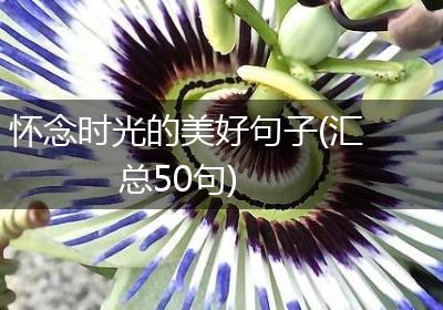 怀念时光的美好句子(汇总50句)