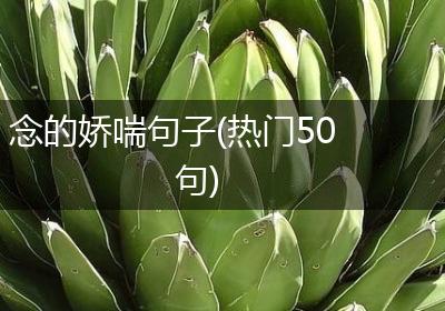念的娇喘句子(热门50句)