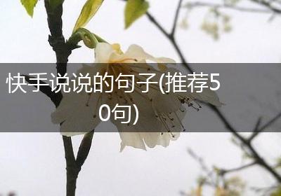 快手说说的句子(推荐50句)