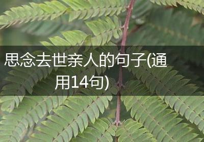 思念去世亲人的句子(通用14句)