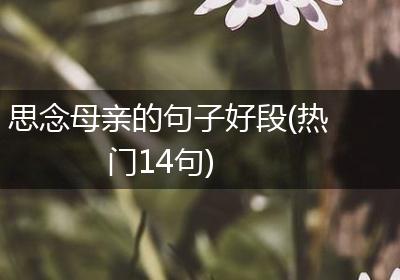 思念母亲的句子好段(热门14句)
