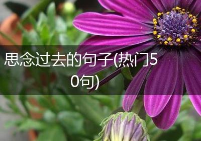 思念过去的句子(热门50句)