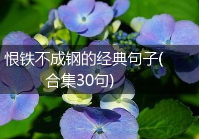 恨铁不成钢的经典句子(合集30句)