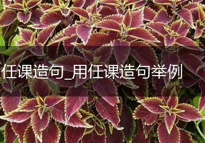 任课造句_用任课造句举例