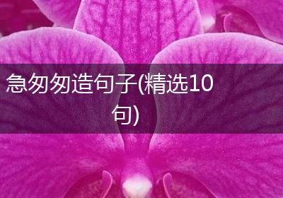 急匆匆造句子(精选10句)