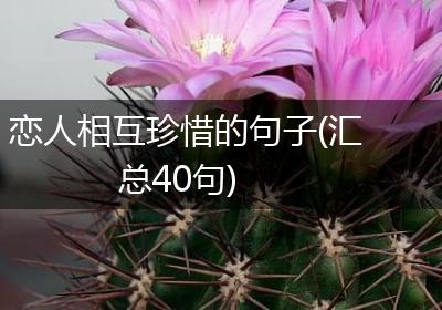 恋人相互珍惜的句子(汇总40句)
