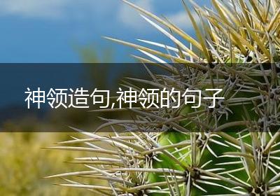 神领造句,神领的句子