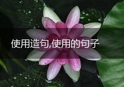 使用造句,使用的句子