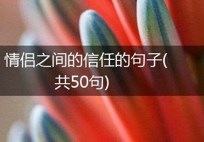 情侣之间的信任的句子(共50句)