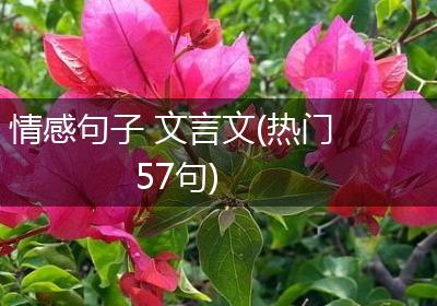 情感句子 文言文(热门57句)