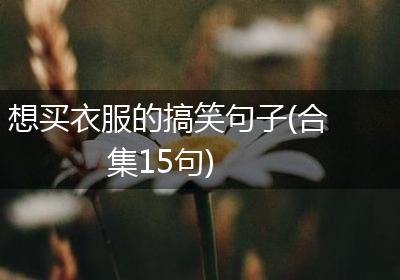想买衣服的搞笑句子(合集15句)