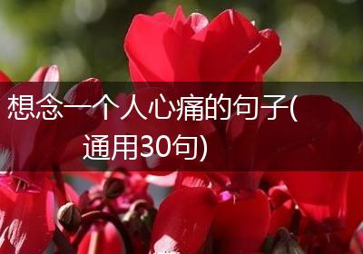 想念一个人心痛的句子(通用30句)