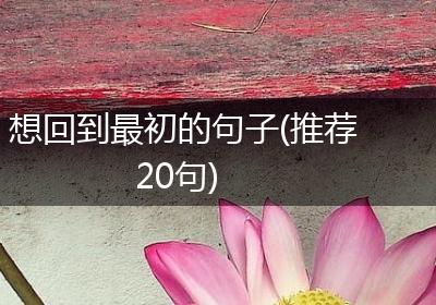 想回到最初的句子(推荐20句)