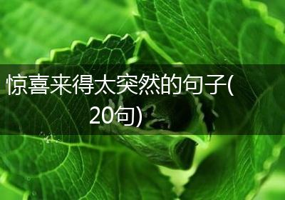 惊喜来得太突然的句子(20句)
