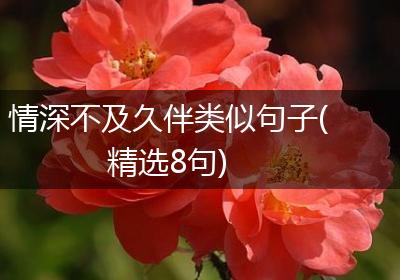 情深不及久伴类似句子(精选8句)