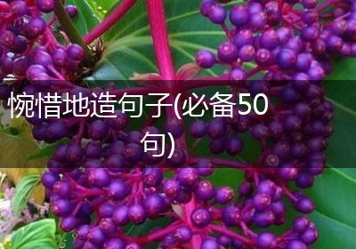 惋惜地造句子(必备50句)