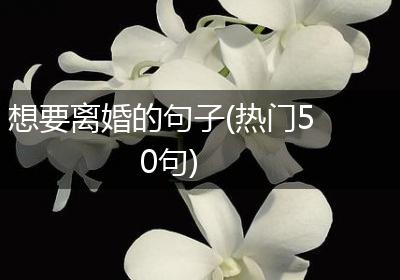 想要离婚的句子(热门50句)