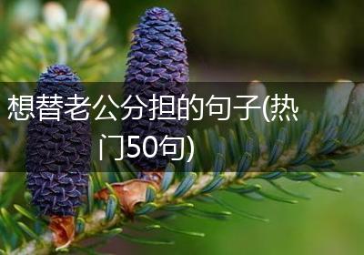 想替老公分担的句子(热门50句)
