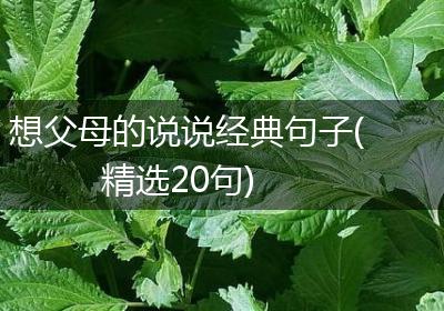 想父母的说说经典句子(精选20句)