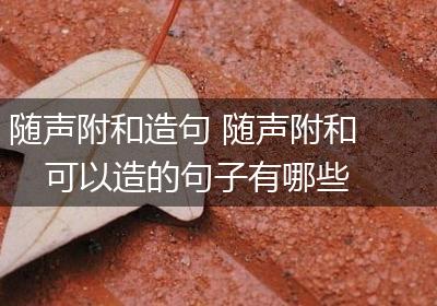 随声附和造句 随声附和可以造的句子有哪些