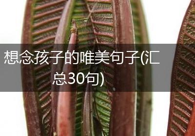 想念孩子的唯美句子(汇总30句)