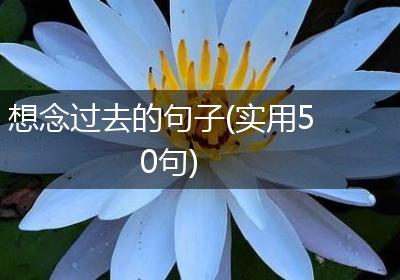 想念过去的句子(实用50句)