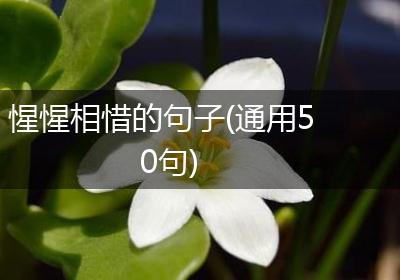 惺惺相惜的句子(通用50句)