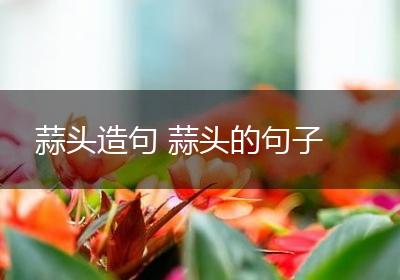 蒜头造句 蒜头的句子
