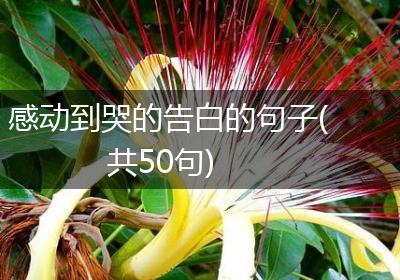感动到哭的告白的句子(共50句)