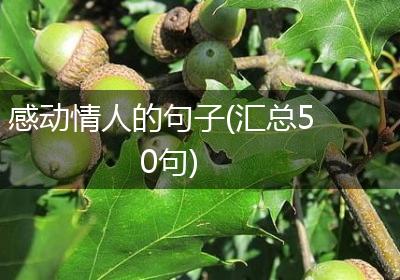 感动情人的句子(汇总50句)