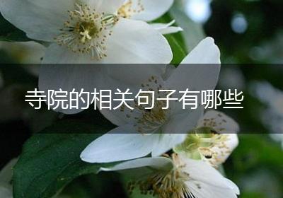 寺院的相关句子有哪些