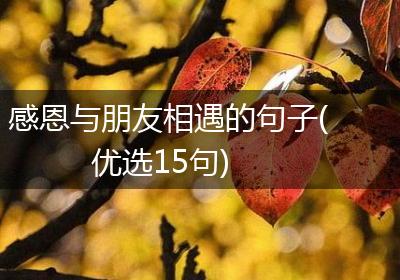 感恩与朋友相遇的句子(优选15句)
