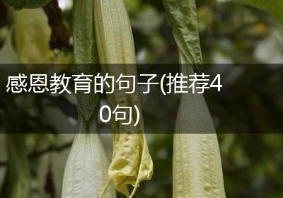 感恩教育的句子(推荐40句)