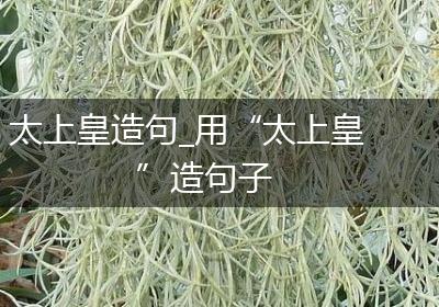 太上皇造句_用“太上皇”造句子