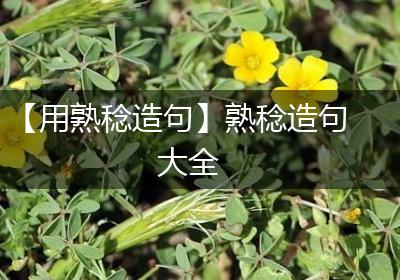 【用熟稔造句】熟稔造句大全
